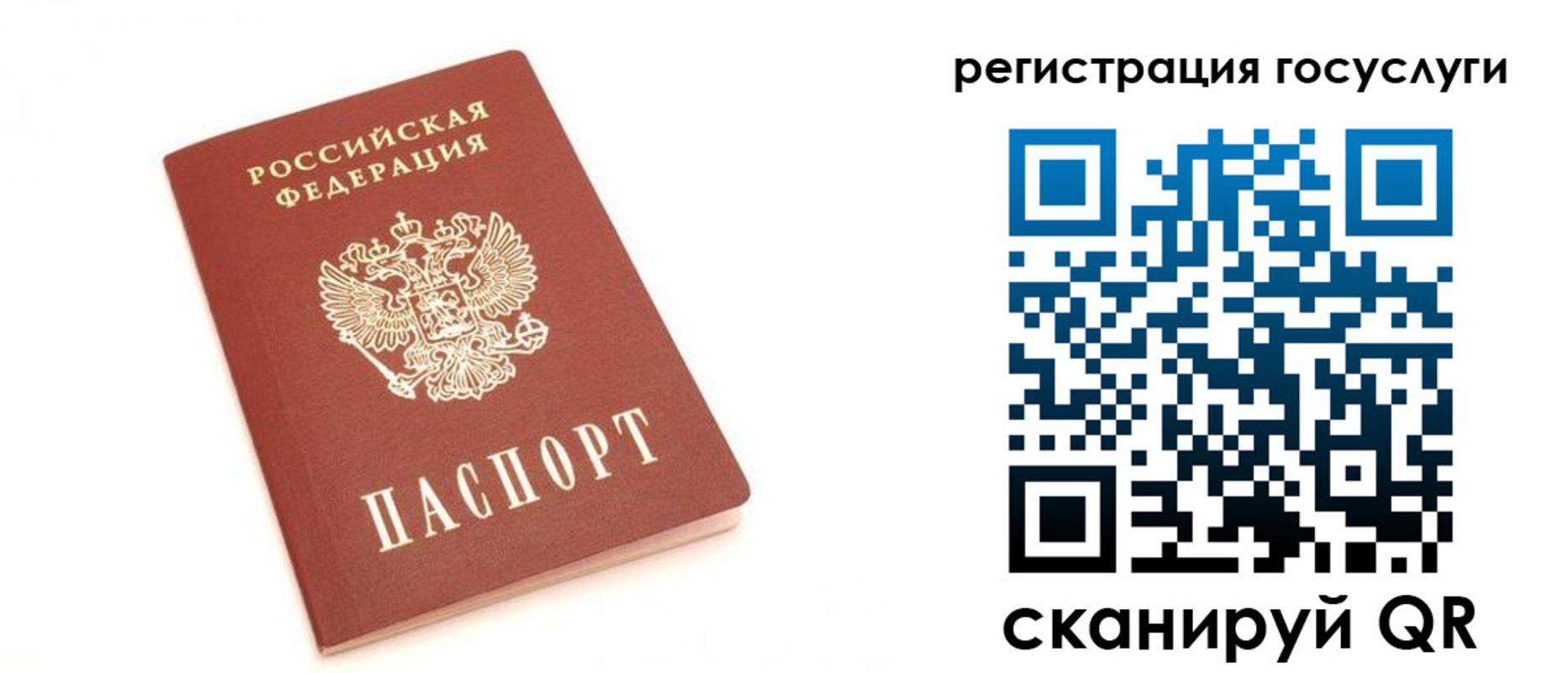 прописка для школы в Рыбном